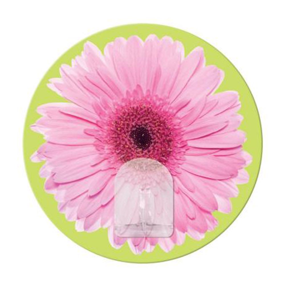 gancho magico reutilizable deisy