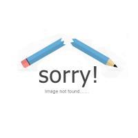 Vampire Girls Set Clothing Boys New High Baby Bat Co-splay Pink Costume Toddler Kids Romper Halloween Quality